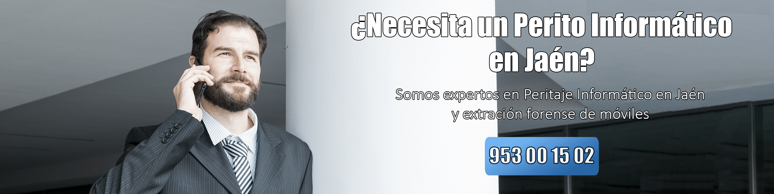 Perito Informático Málaga