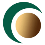 perito-informatico-jaen-favicon